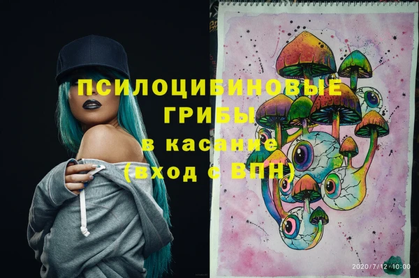 стаф Покачи